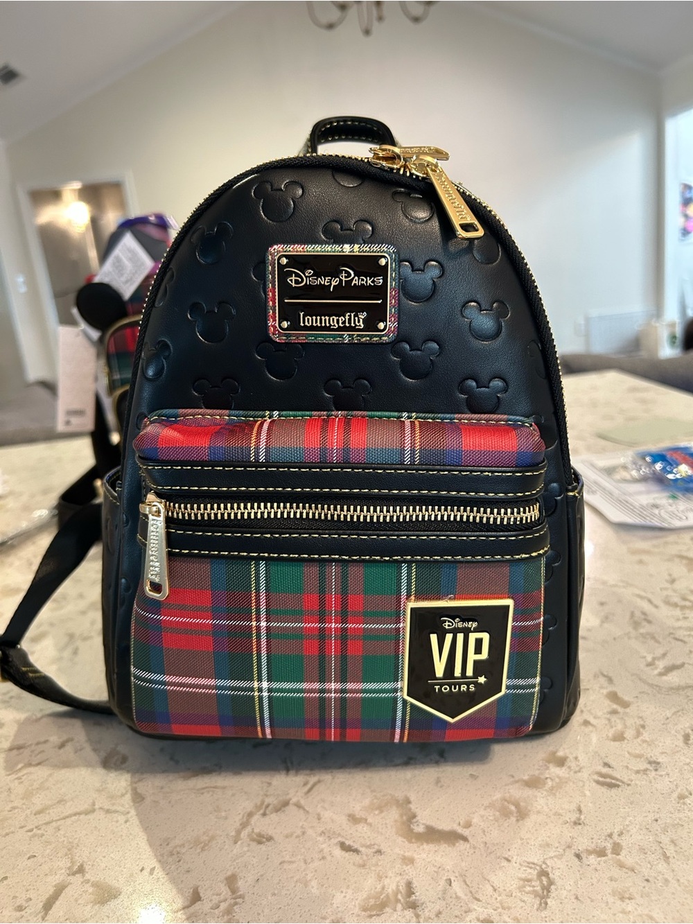 EXCLUSIVE: Disney Parks x Loungefly VIP tour plaid bag backpack